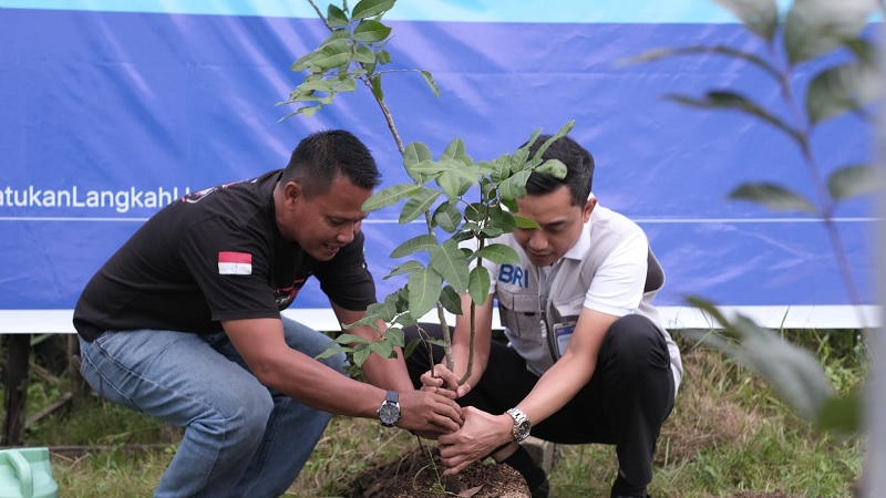 Regional CEO BRI Pekanbaru, Dian Kesuma Wardhana (kanan) melakukan penanaman pohon di Kelurahan Air Dingin, Kecamatan Bukit Raya, Pekanbaru, Jumat (21/2/2026).  