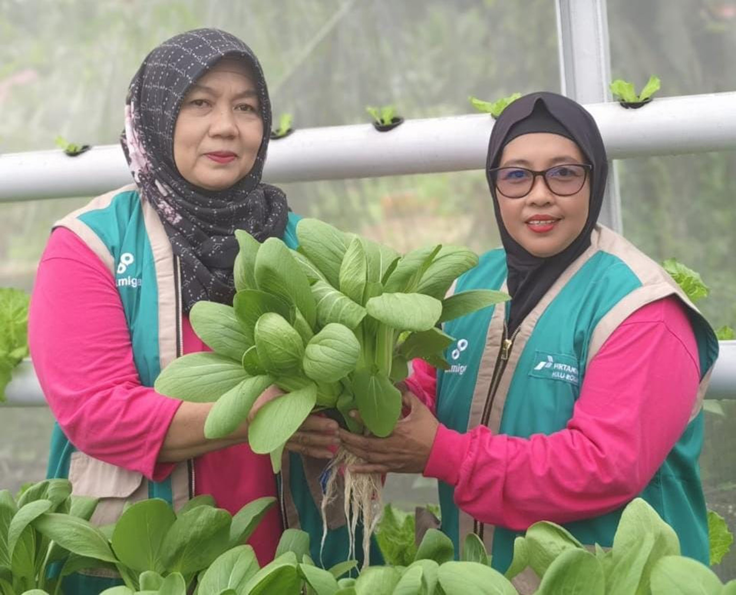 Ketua Dasawisma 23 Mutiara, Siti Subaidah (kanan) menunjukkan hasil panen perdana sayuran hidroponik di greenhouse binaan PHR, Selasa (24/2/2026). 