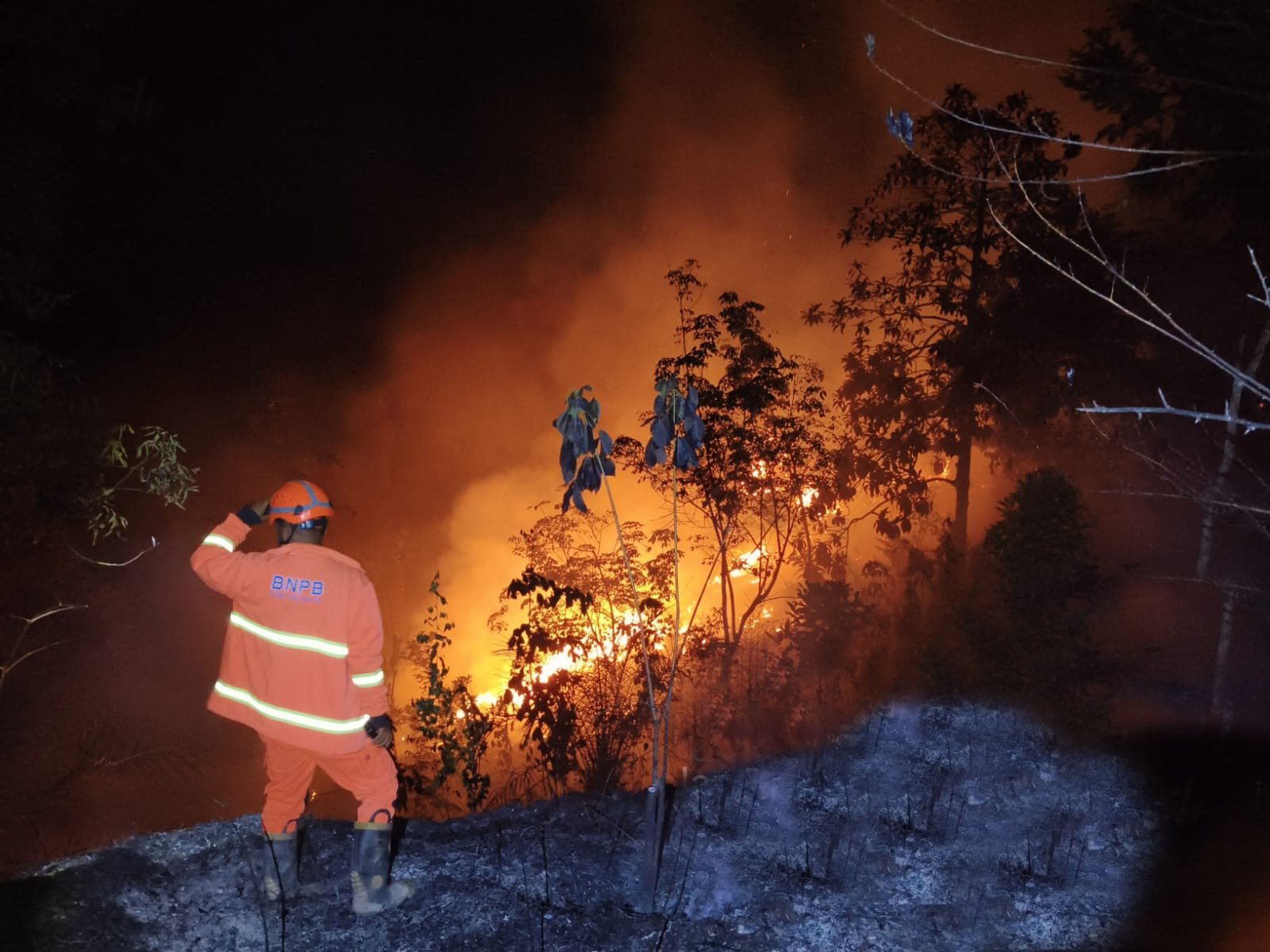 Tim TRC BPBD Kabupaten Kampar memadamkan api yang membakar lahan milik masyarakat di Desa Pulau Gadang, Kecamatan XIII Koto Kampar, Kabupaten Kampar, Jumat (27/2/2026) malam. 