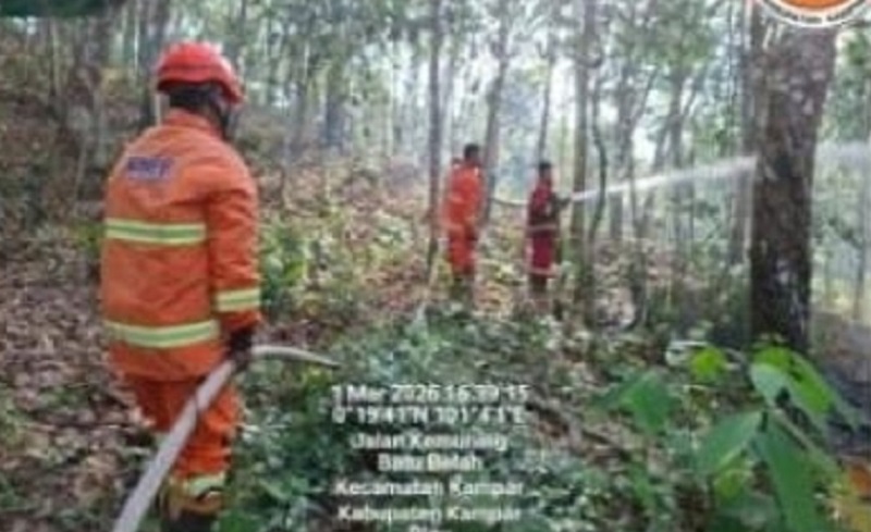 Satgas TRC BPBD Kampar bersama tim gabungan memadamkan api yang terjadi kebakaran di Desa Tanjung Rambutan Kecamatan Kampar, Kabupaten Kampar, Ahad (1/3/2026).