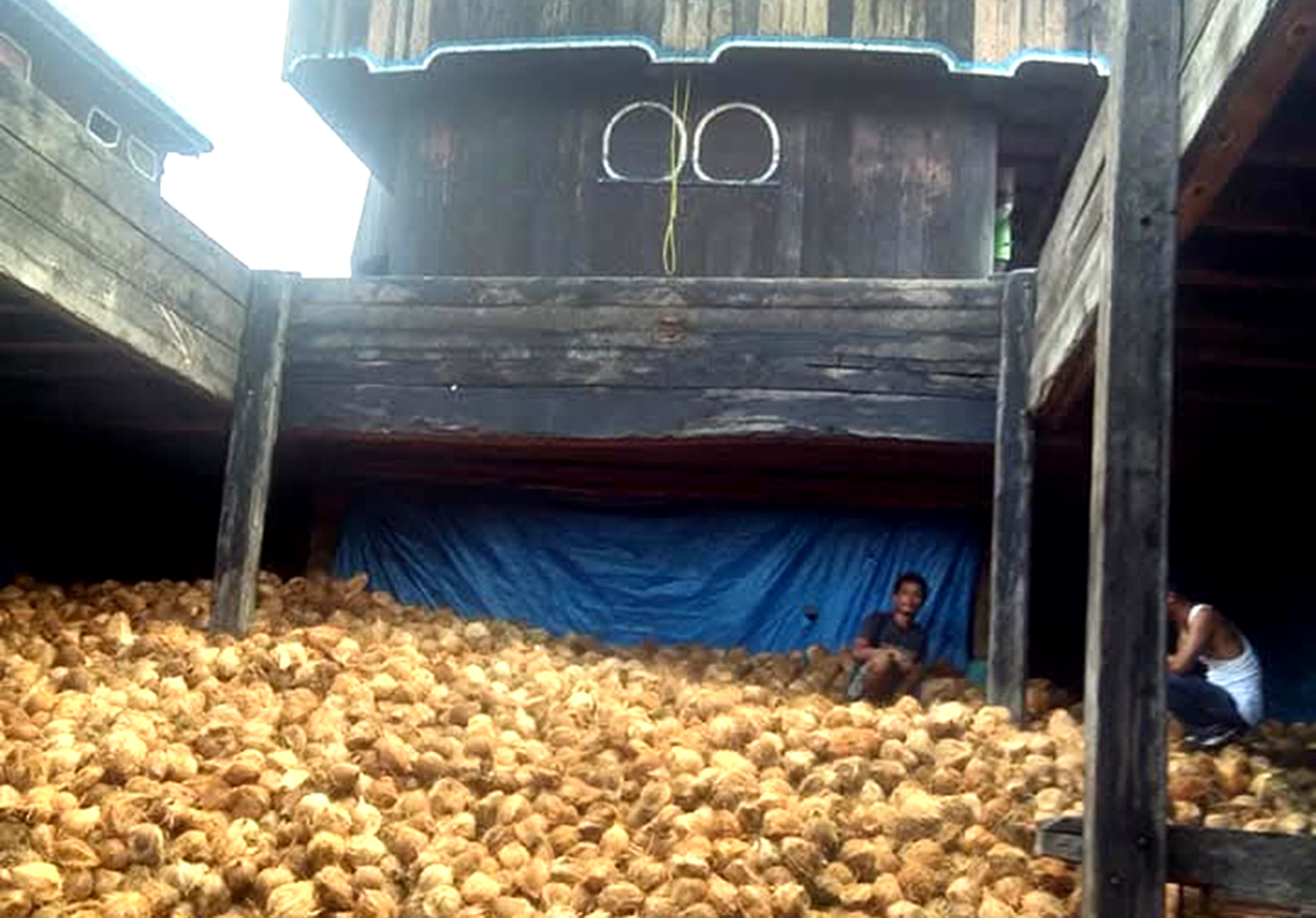 KELAPA: Petani di Kecamatan Pelangiran, Kabupaten Inhil menjual kelapa hasil panen mereka dan memasukkannya ke dalam kapal motor, belum lama ini.  