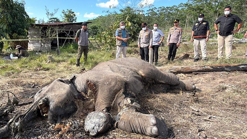 Kapolda Riau Irjen Pol Herry Heryawan saat datang langsung ke lokasi penemuan bangkai anak gajah di kawasan TNTN, Pelalawan, beberapa waktu lalu.