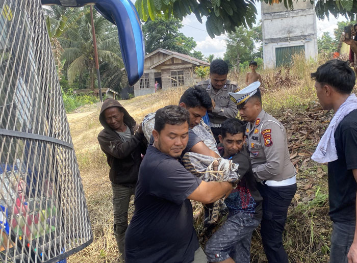 Personil Sat Lantas Polres Pelalawan melakukan evakuasi korban lakalantas yang melibatkan Bus PMH dengan truk Coltdiesel di Jalintim KM 122 Desa Dusun Tua, Pangkalan Lesung, Ahad (1/3/2026). 