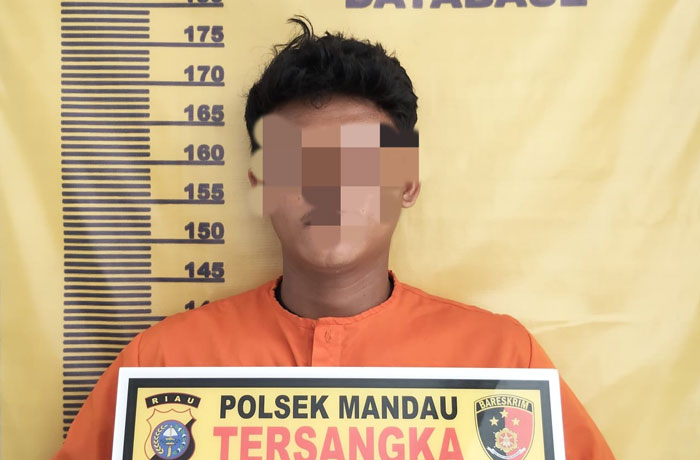 Pelaku dugaan persetubuhan anak dibawah umur diamankan di Mapolsek Mandau, Senin (2/3/2026).