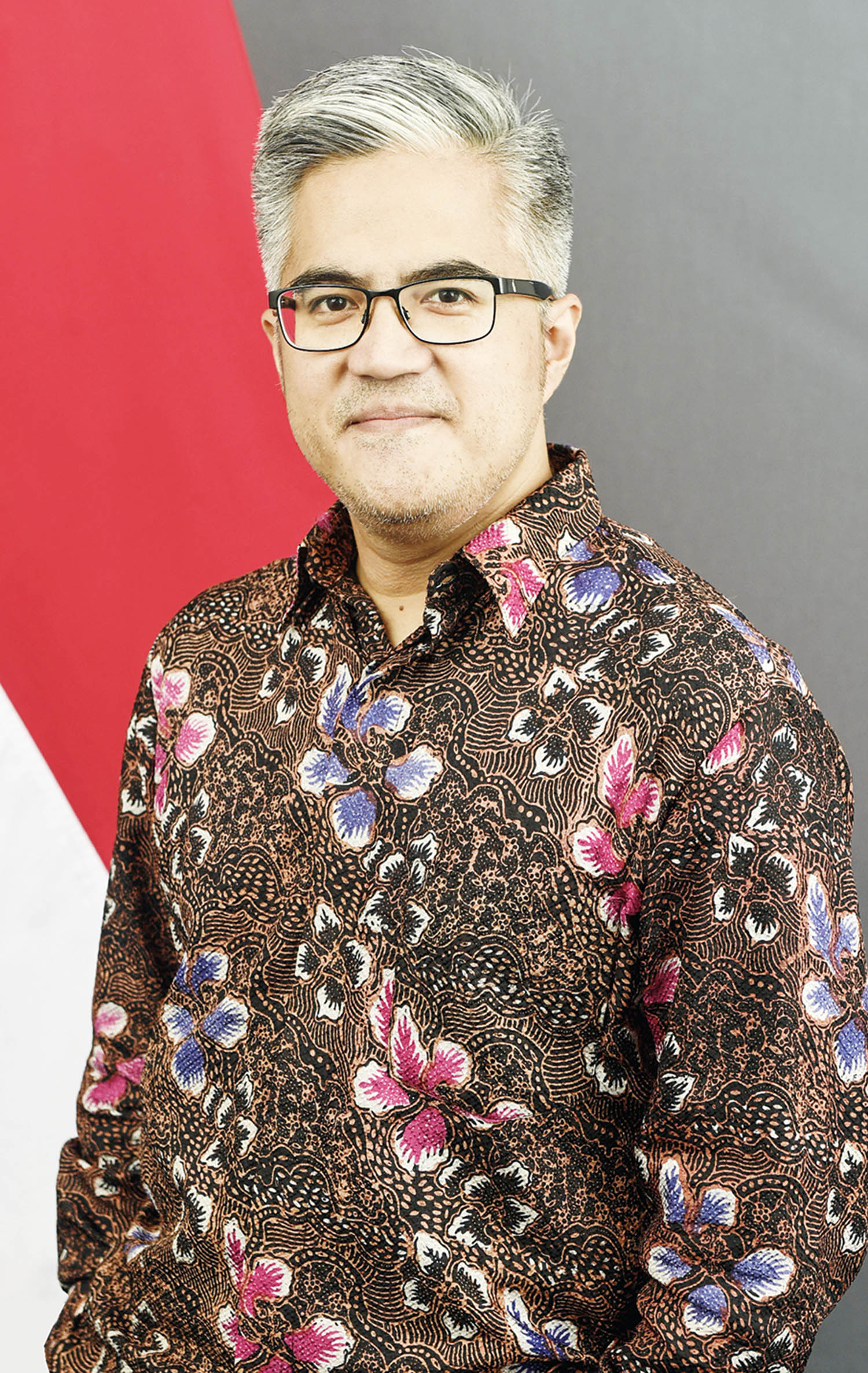 Rolliansyah Soemirat, Duta Besar RI di Iran