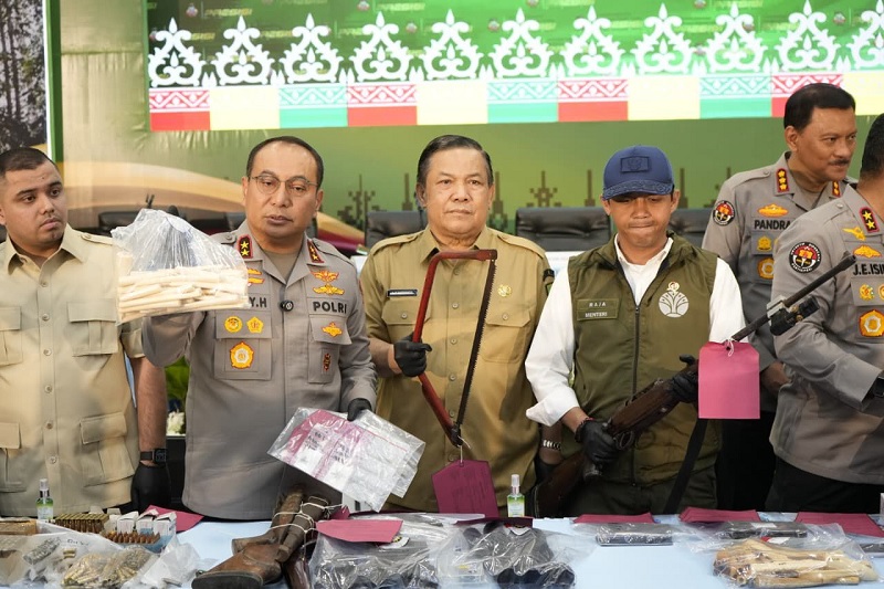 Kapolda Riau Irjen Pol Herry Heryawan (dua kiri) menunjukan barang bukti pipa rokok dari gading gajah, Plt Gubri SF Hariyanto menunjukkan gergaji yang digunakan pelaku memotong gading gajah .