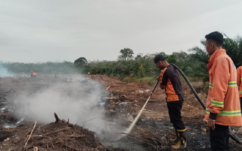Satgas TRC BPBD Kampar bersama personel Polri dan masyarakat memadankam kebakaran yang membakar lahan terjadi di Desa Sungai Jalau, Kecamatan Kampar Utara, Kabupaten Kampar pada Jumat (6/3/2026) sore.