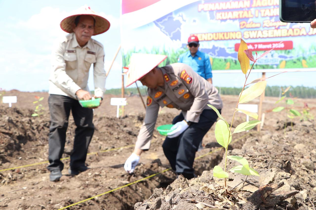 Kapolres Siak AKBP Sepuh Ade Irsyam Siregar menanam jagung di lahan PT RAPP Estate Sungai Mandau, Kecamatan Sungai Mandau, Kabupaten Siak pada Sabtu (7/3/2026).