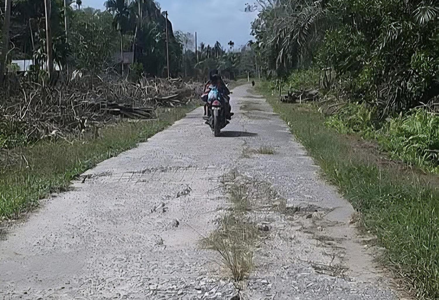 Ruas Jalan Desa Lukit, Kecamatan Merbau, Kepulauan Meranti yang rusak akan diperbaiki pemda.  Jalan ini menjadi satu-satunya ruas jalan lintas antar kecamatan, Ahad (8/3/2026). 