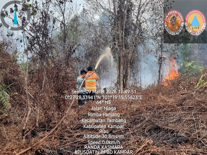 Satgas TRC BPBD Kampar bersama masyrakat memadamkan api yang membakar lahan di di Jalan Niaga, Desa Rimbo Panjang, Kecamatan Tambang, pada Senin (9/3/2026) siang.