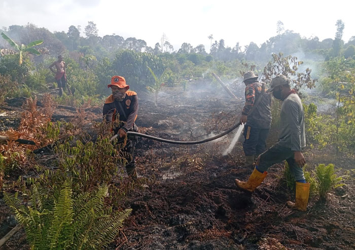 Personel BPBD Inhil sedang melakukan pemadaman dan pendingianan karhutla di Desa Simpang Gaung, Kecamatan Gaung, Inhil, Senin (9/3/2026)