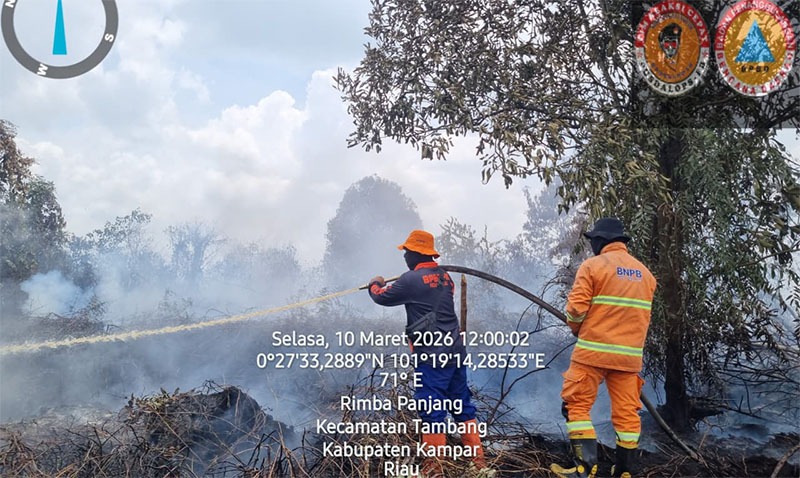 Satgas TRC BPBD Kampar memadamkan api yang membakar lahan diJalan Niaga, Desa Rimbo Panjang, Kecamatan Tambang, Selasa (10/3/2026).