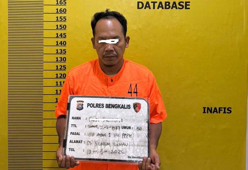 Terduga pelaku Illegal logging di Siak Kecil saat diamankan Polrres Bengkalis.