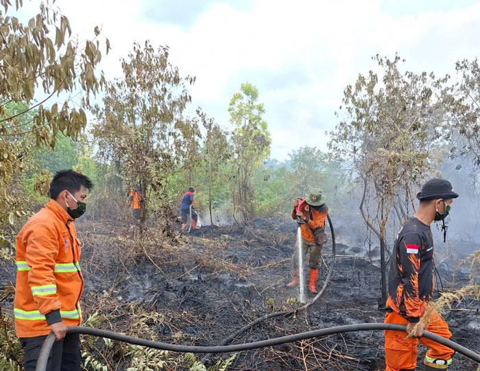 Satgas TRC BPBD Kampar dan satgas BPBD Provinsi memadamkan api yang membakar lahan di desa Rimbo Panjang, Kecamatan Siak Hulu, Kabupaten Kampar, Kamis (12/3/2026).