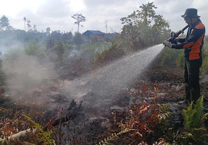 TRC BPBD Inhil berupaya melakukan pemadaman di Desa Simpang Gaung, Kecamatan Gaung, Kabupaten Inhil, Kamis (12/3/2026).