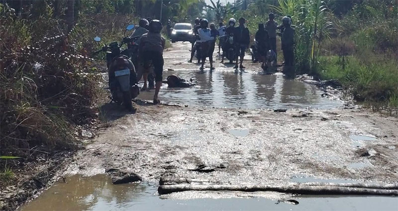 Kondisi jalan dari Sungai Gergaji menuju Pulau Kijang, Kecamatan Reteh, tepatnya di Parit Guntong, terlihat rusak parah, Kamis (12/3/2026).