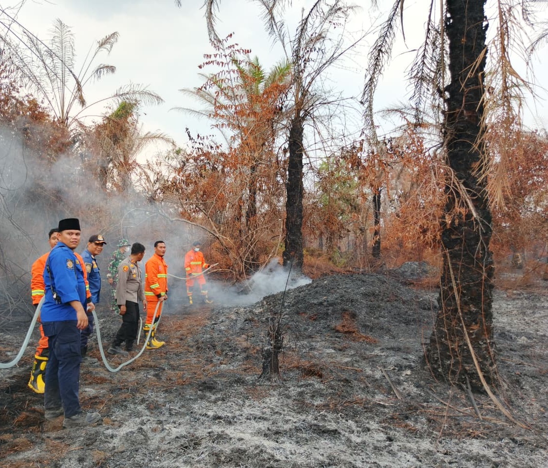 Tim gabungan berupaya memadamkan kebakaran kebun sawit di Desa Sungai Langsat, Kecamatan Pangean, Kabupaten Kuantan Singingi, Jumat (13/3/2026). 