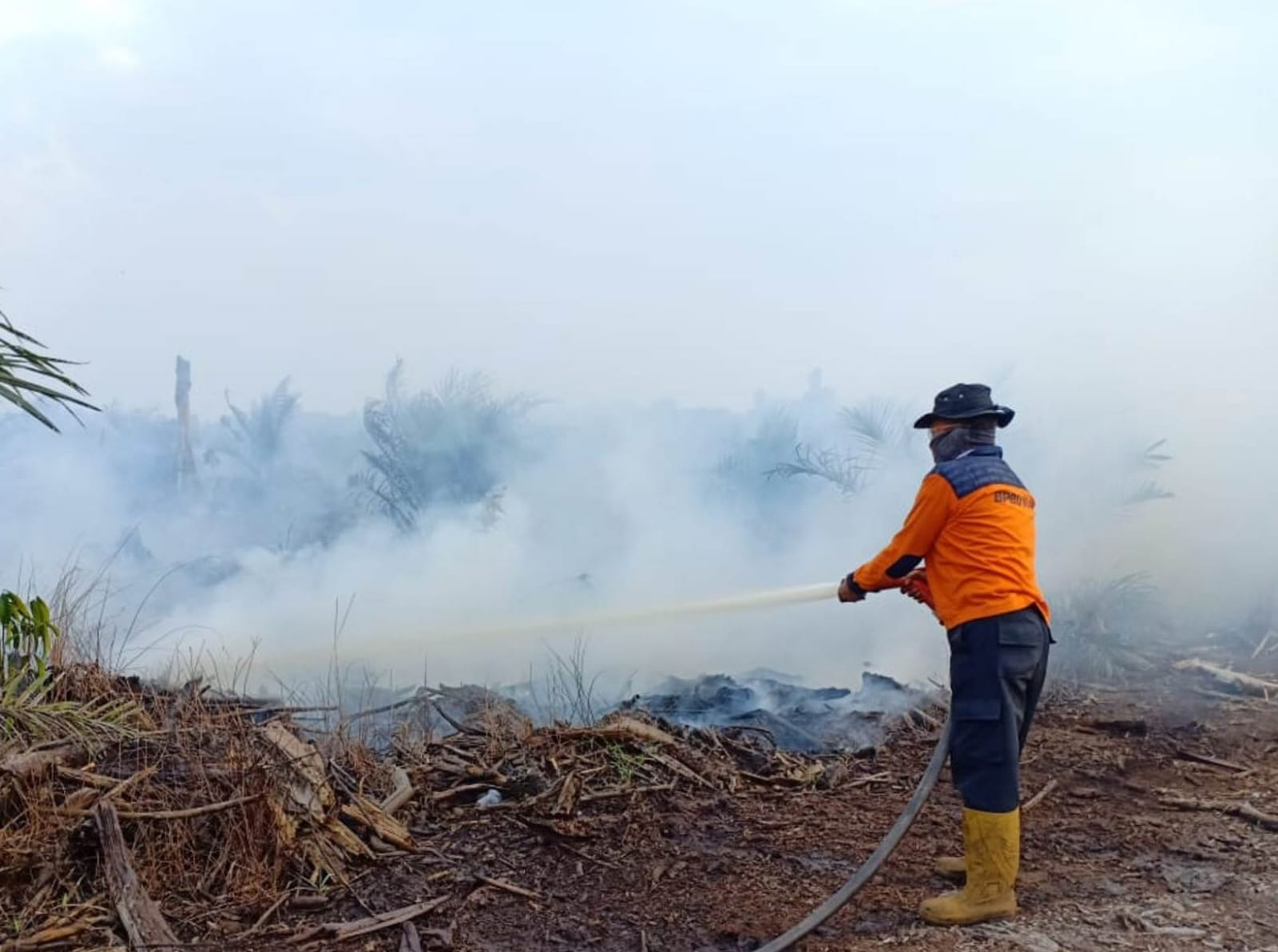Tim gabungan melakukan pemadaman api karhutla&nbsp;di Desa Pulau Muda, Kecamatan Teluk Meranti, Sabtu (14/3/2026).  