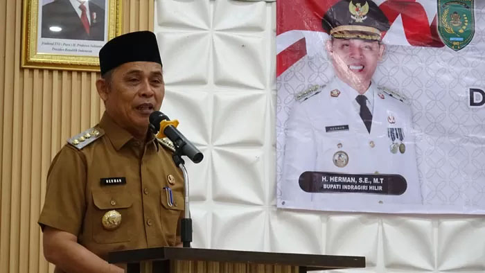 Bupati Indragiri Hilir, Herman 