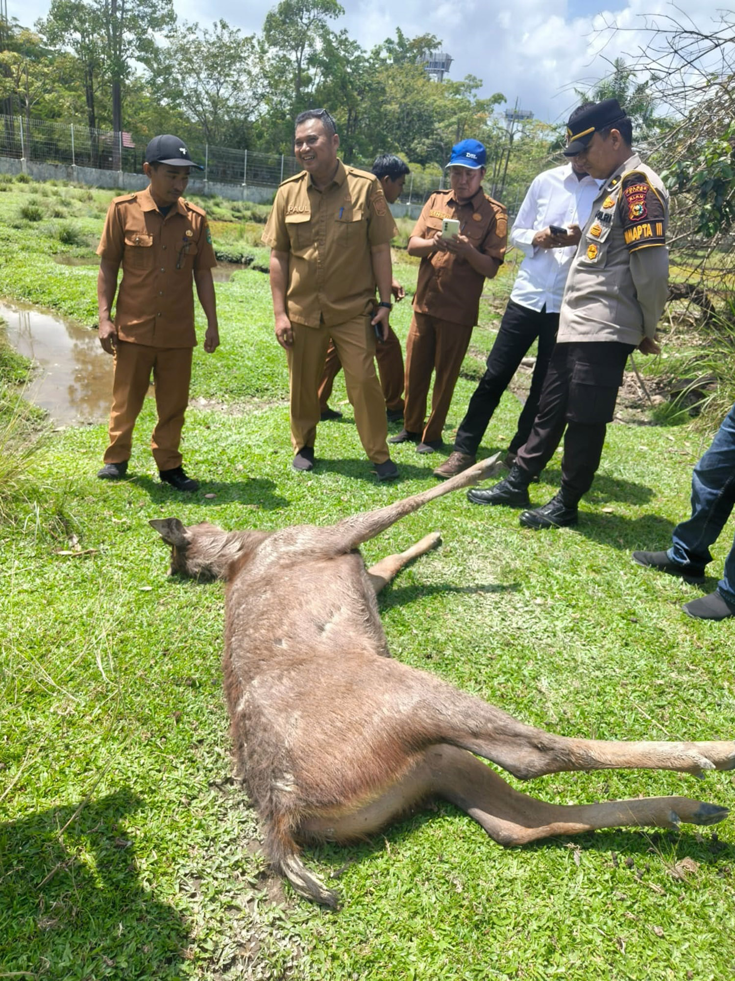 Sejumlah pegawai menyaksikan bangkai rusa yang ditemukan mati di penangkaran ujung sebelah kanan bawah Jembatan Tengku Agung Sultanah Latifah, atau di samping Kantor DPRD Siak, Senin (16/3/2026). 
