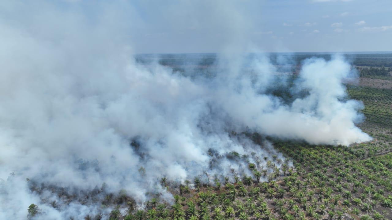 Lahan terbakar di Wilayah Cagar Biosfer Giam Siak Kecil, Kecamatan Siak Kecil, Kabupaten Bengkalis, berbatasan dengan Tasik Betung, Kecamatan Sungai Mandau, Kabupaten Siak, Ahad (22/3/2026).