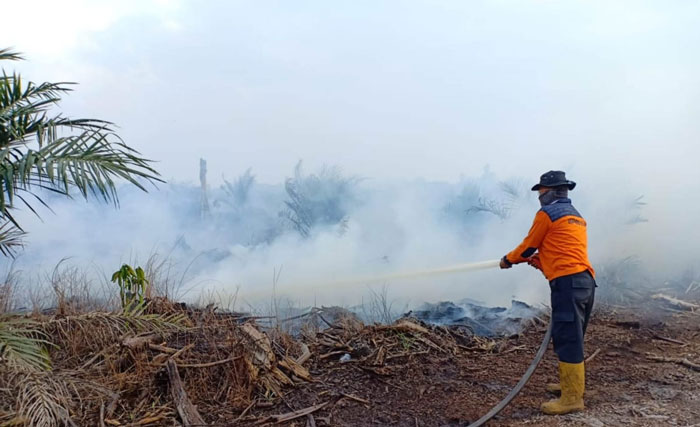  Tim gabungan berjibaku melakukan&nbsp;pemadaman&nbsp;api Desa Pulau Muda, Kecamatan Teluk Meranti, Senin (23/3/2026). 