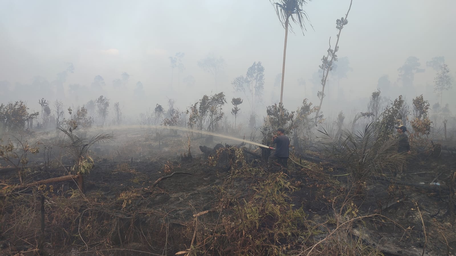 Upaya pemadaman karhutla di Cagar Biosfer Giam Siak Kecil, Kampung/Desa Tasik Betung, Kecamatan Sungai Mandau, Kabupaten Siak