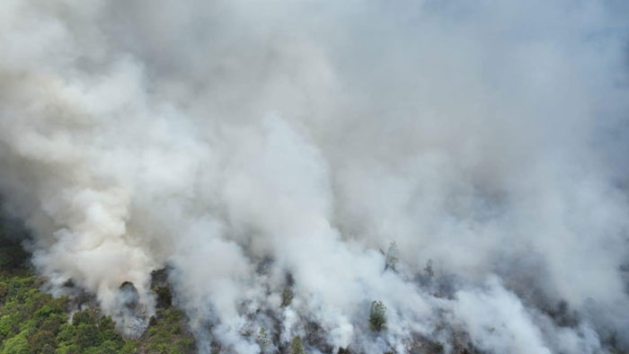 Ilustrasi. Hotspot di Riau terbanyak di Pulau Sumatera.