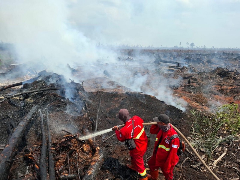 Tim dari Manggala Agni melakukan Pemadaman Karhutla di Kabupaten Pelalawan.