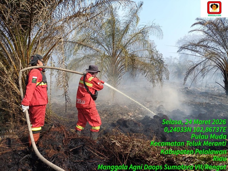 Tim Gabungan melakukan pemdaman api karhutla di Desa Pulau Muda Kecamatan Teluk Meranti, Selasa (24/3/2026). 