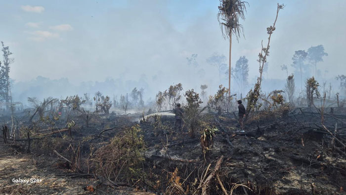 Memasuki hari keempat, upaya pemadaman di Kampung Tasik Betung, Kecamatan Sungai Mandau, Kabupaten Siak, masuk dalam kawasan Cagar Biosfer Giam Siak Kecil, masih terus berlangsung, Rabu (25/3/2026).