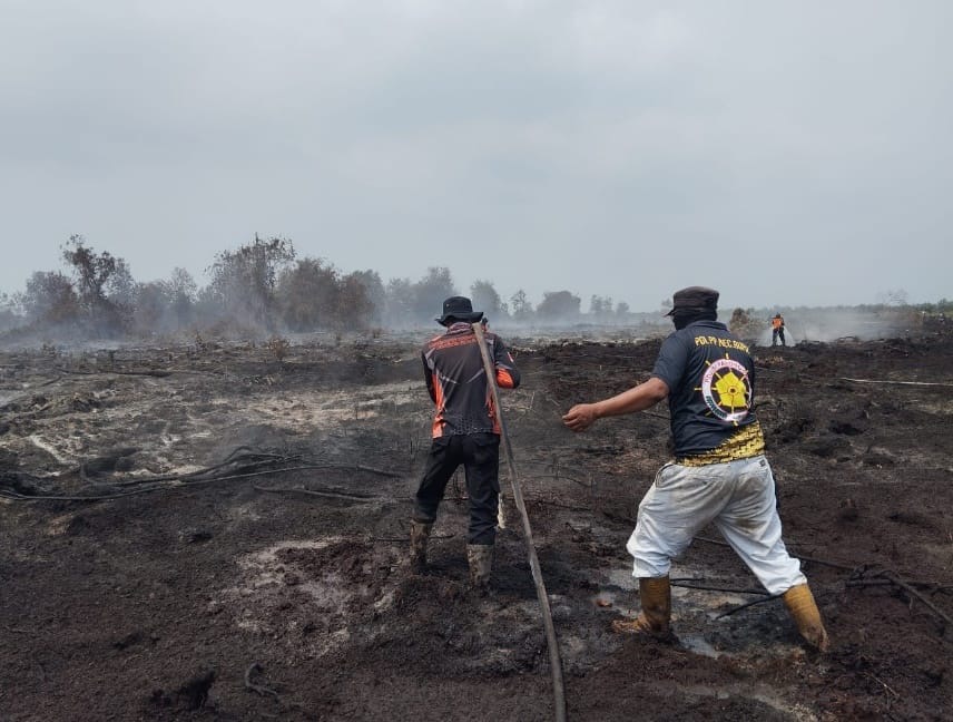 Petugas pemadam kebakaran memadamkan api di lahan milik masyarakat di Kecamatan Rupat, Bengkalis, Jumat (27/3/2026) siang.