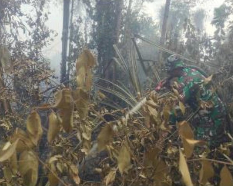 Pohon-pohon dan dedaunan mengering karena terbakar di Suaka Margasatwa Cagar Biosfer Giam Siak Kecil, di Kampung/ Desa Tasik Betung, Kecamatan Sungai Mandau, Kabupaten Siak, Sabtu (28/3/2026).