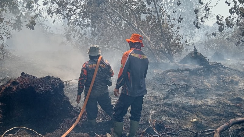 TRC BPBD Inhil sedang melakukan pemadaman dan pendinginan di lokasi karhutla di Kecamatan Gaung belum lama ini. 