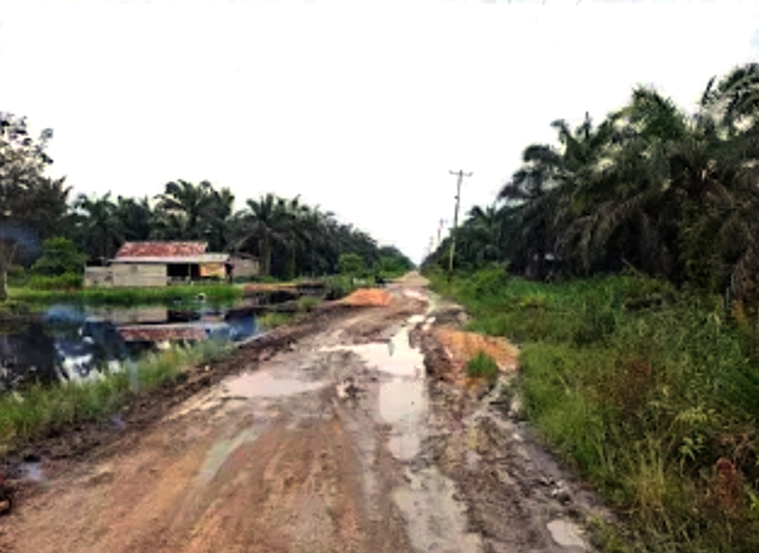  Kondisi jalan utama di Desa Sungai Ara, Kecamatan Pelalawan yang mengalami rusak parah, Ahad (29/3/2026).&nbsp;