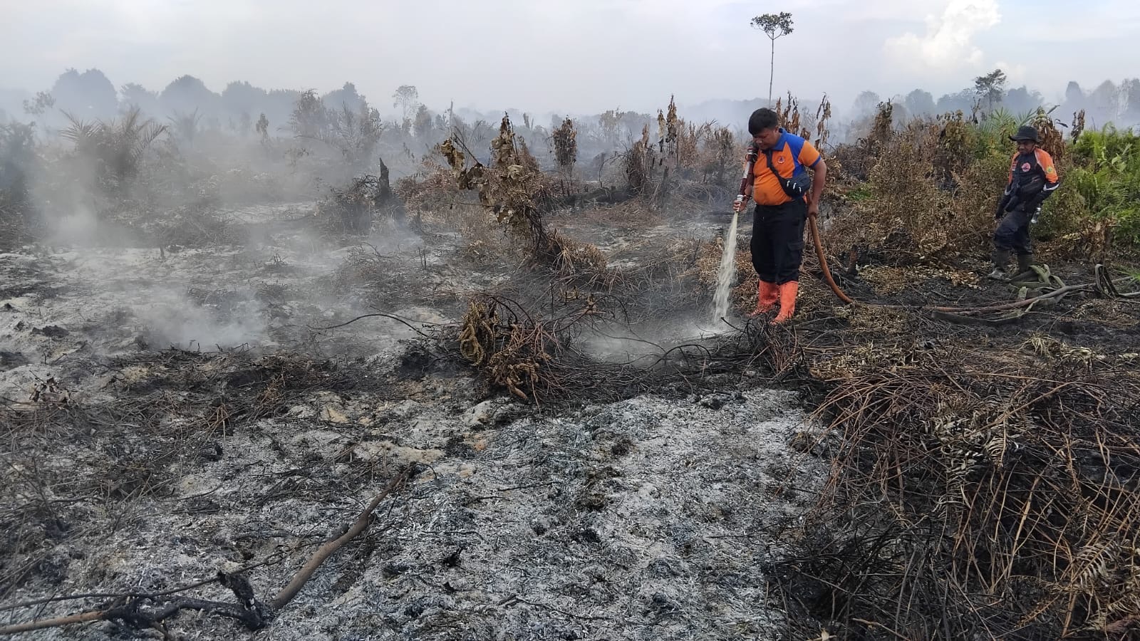 Petugas gabungan melakukan pemadaman Karhutla di Desa Teluk Nibung, Kecamatan Pulau Burung, Senin (30/3/2026).