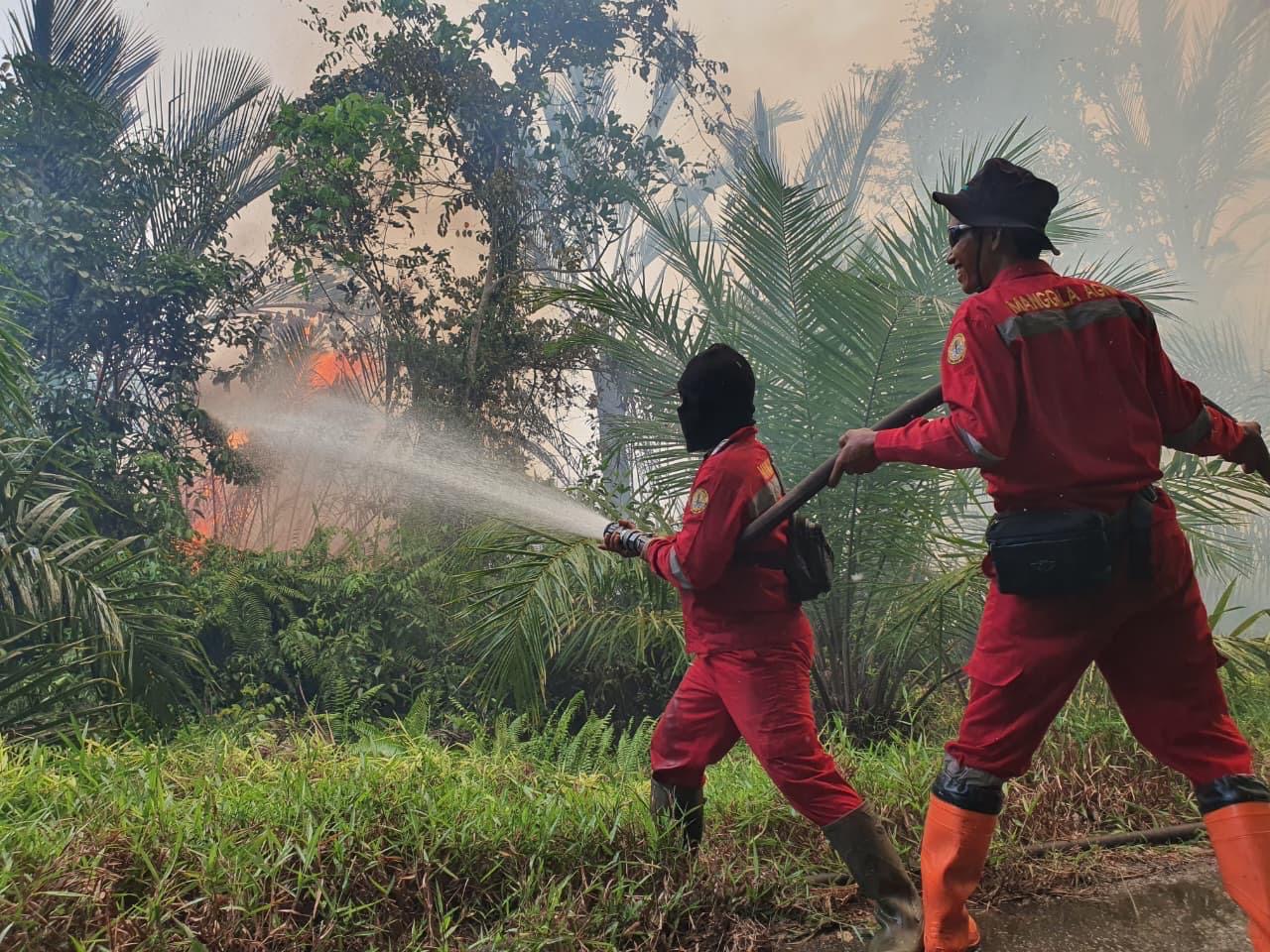 Anggota Manggala Agni Daops Siak Muharmizan (depan) bersama rekannya saat melakukan pemadaman karhutla di Desa Palkun Bengkalis, Senin (30/3/2026).