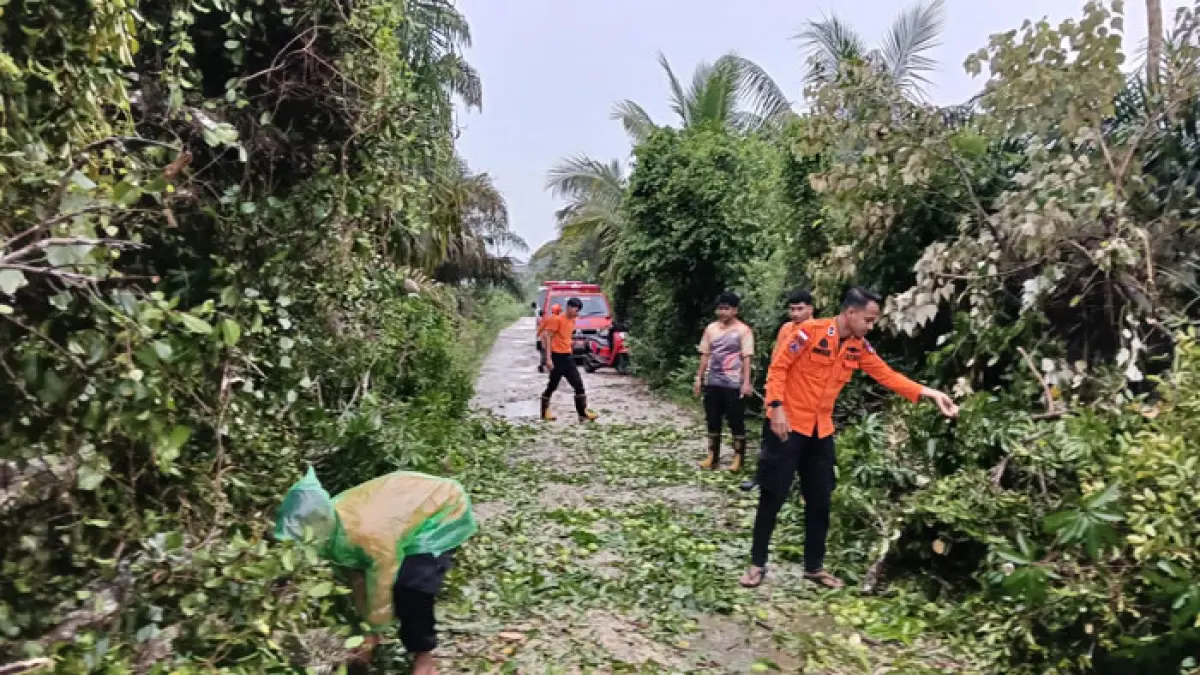 Tim Satgas TRC Pusdalops-PB BPBD Kampar bersama masyarakat langsung turun ke lokasi untuk melakukan pemotongan dan pembersihan pohon menggunakan mesin chainsaw, Rabu (1/4/2026).(BPBD Kampar untuk Riaupos.co)
