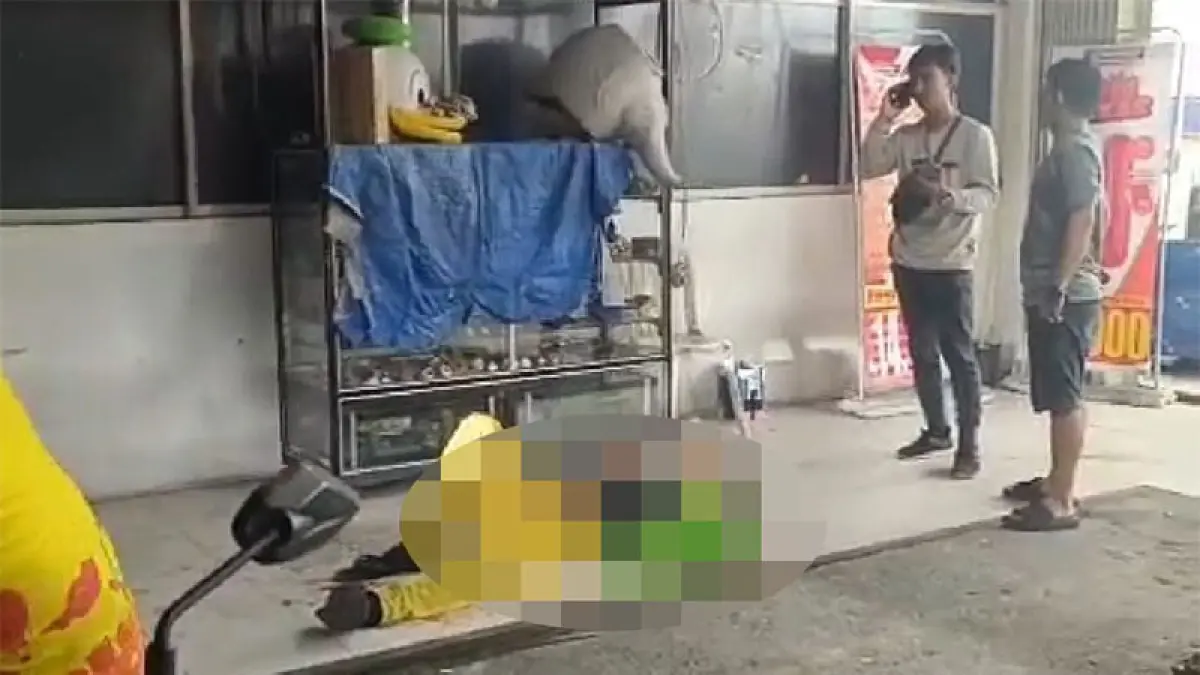 Badut pengamen terkapar di depan sebuah gerai ritel modern di Jalan Kaharuddin Nasution, setelah mengalami luka di bagian perut usai ditusuk tersangka, Ahad (29/3/2026) sekitar pukul 19.00 WIB. (Ist)