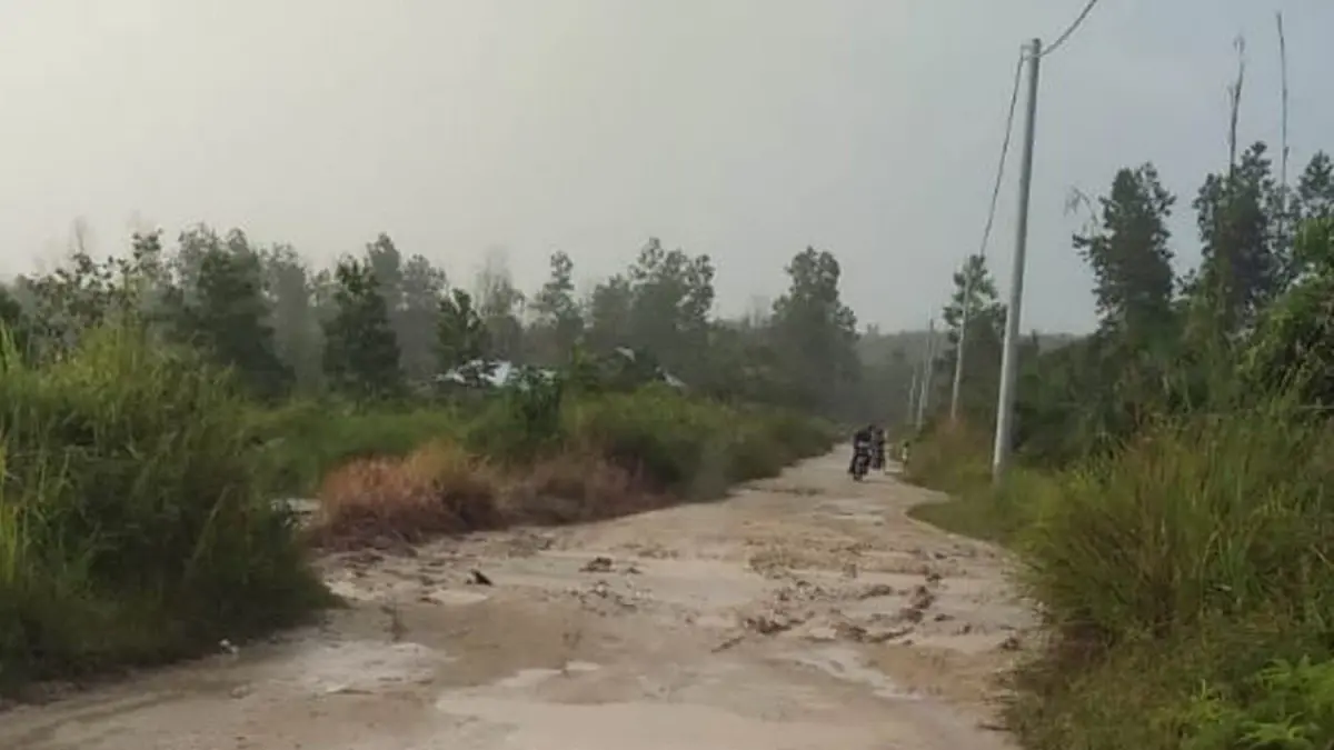 Kondisi Jalan Lintas Umum Desa Kuala Panduk, Kecamatan Teluk Meranti mengalami kerusakan namun tak kunjung dilakukan perbaikan oleh Pemkab Pelalawan, Rabu (1/4/2026). (MUHAMMAD AMIN)