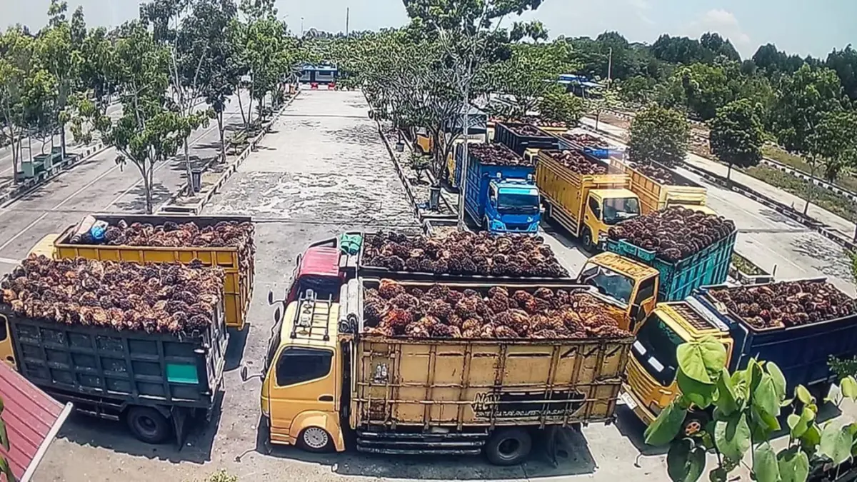 Pelayanan penyeberangan Ro-Ro Bengkalis kembali menggunakan sistem manual dan membuat antrean penyeberangan memakan waktu cukup lama. Kendaraan harus mengantre lebih dari lima jam, Rabu (1/4/2026). (ABU KASIM) 