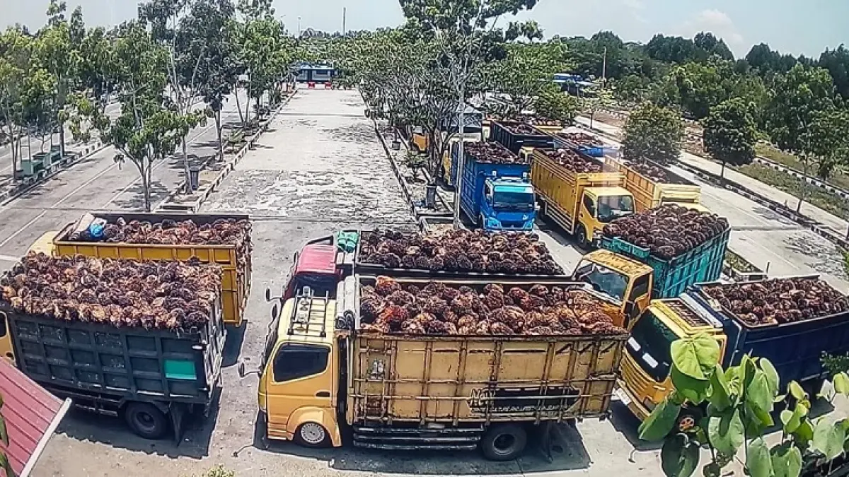 Pelayanan penyeberangan Roro Bengkalis sudah menggunakan sistem manual dan membuat antrean penyeberangan memakan waktu cukup lama dan mendaraan harus mengantre lebih dari lima jam, Rabu (1/4/2026).(Abu Kasim/Riaupos.co)
