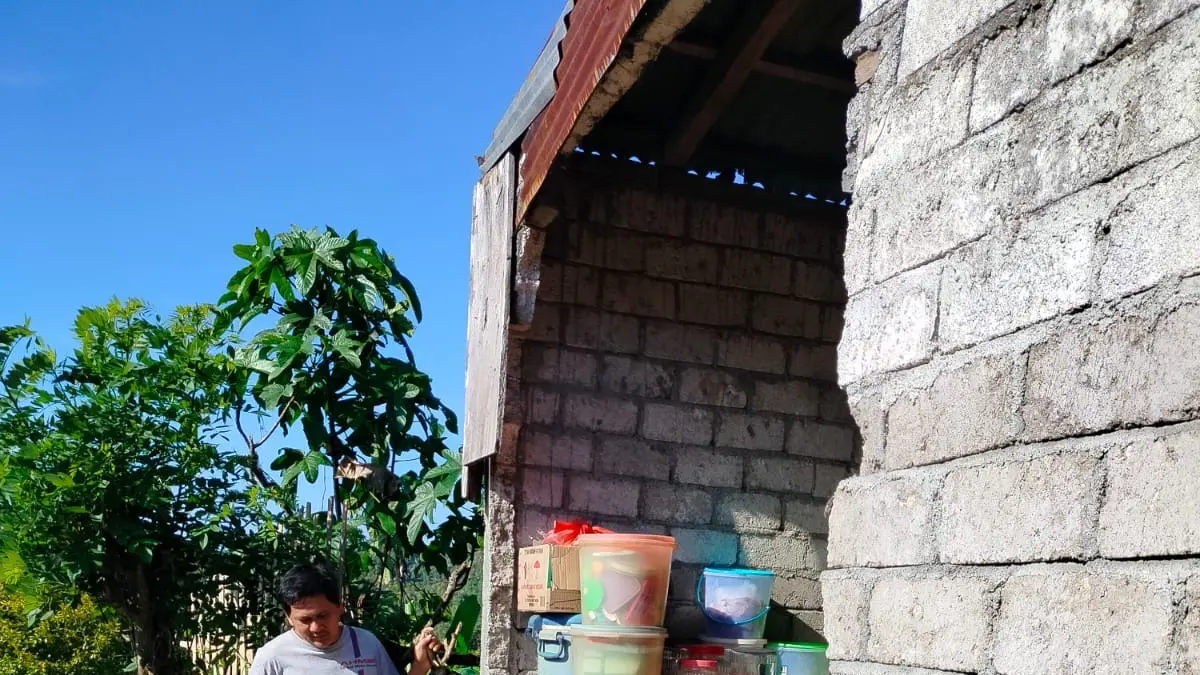 Gempa M7,6 di Kota Bitung berdampak pada kerusakan rumah warga di Kabupaten Minahasa, Sulawesi Utara, Kamis (2/4/2026).(BPBD MINAHASA/BNPB)