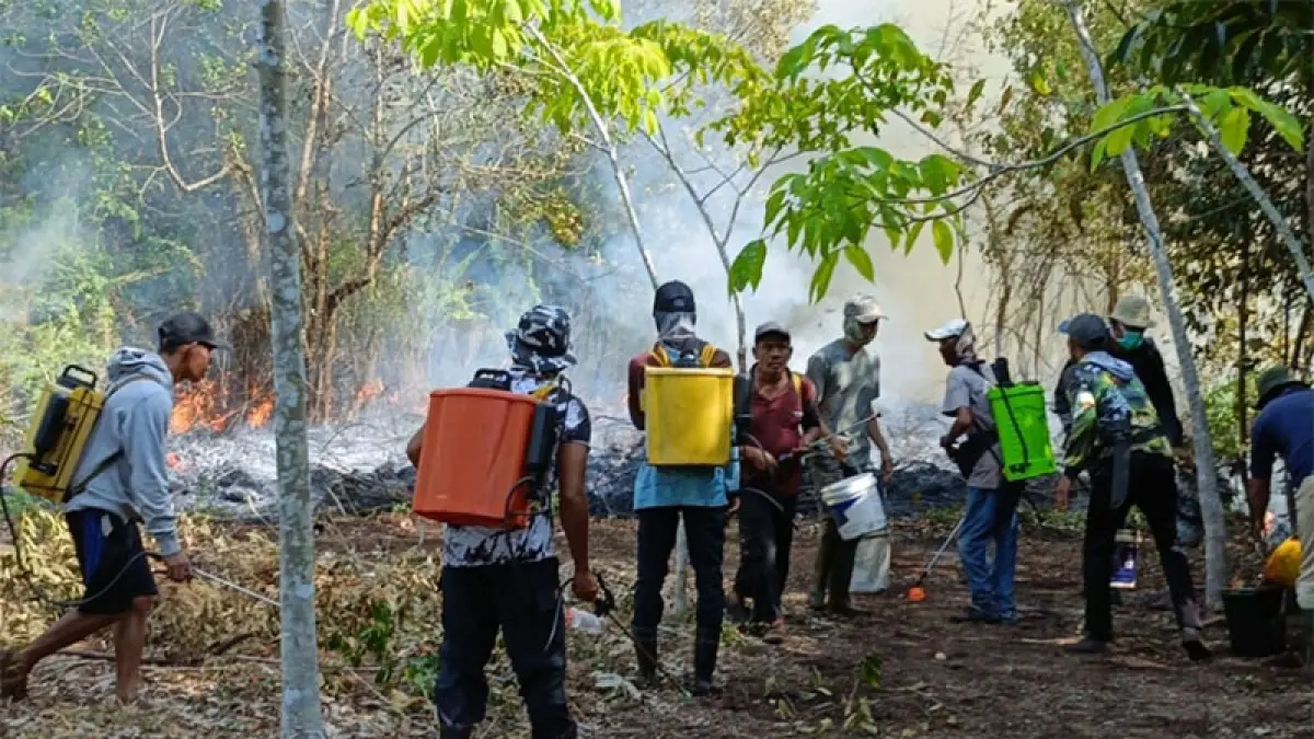 Petugas pemadam bergotong royong bersama masyarakat memadamkan api yang membakar lahan di Desa Teluk Lancar, Kecamatan Bantan, Rabu (1/4/2026). (ISTIMEWA)
