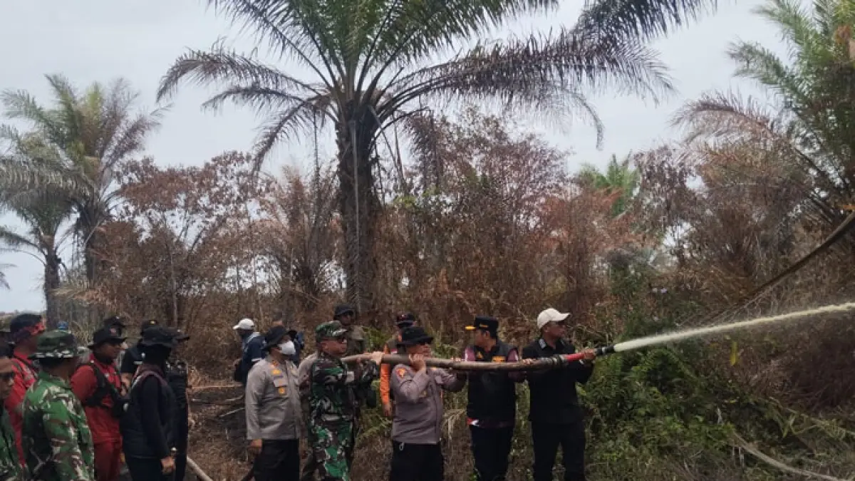 Tim gabungan melakukan pendinginan karhuta di Desa Gambut Mutiara Kecamatan Teluk Meranti yang telah padam total pasca diguyur hujan, Ahad (5/4/2026). (Istimewa)