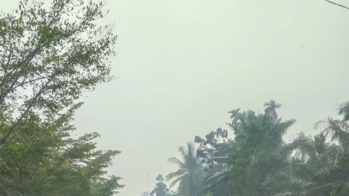 Di pagi hari Desa Kembung Luar, Kecamatan Bantan, Bengkalis diselimuti asap Karhutla, Ahad (5/4/2026). (ISTIMEWA)
