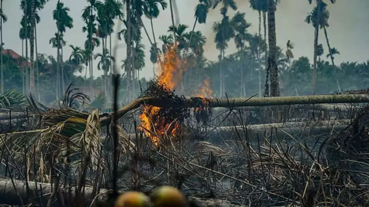 Ilustrasi karhutla. (DOK RIAUPOS.CO)
