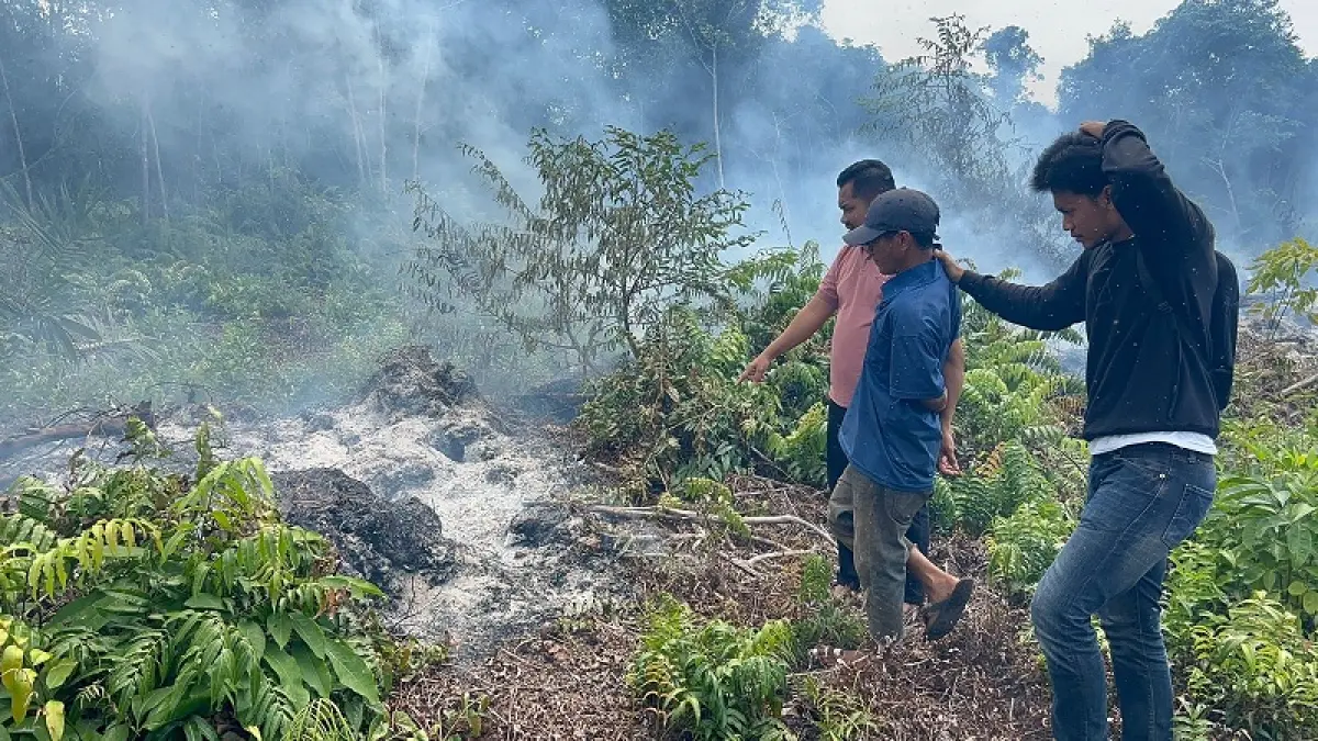 Penyidik Satreskrim Polres Bengkalis saat melakukan olah TKP di Desa Pedekik Kecamatan Bengkalis dan menetapkan satu tersangka kasus karhutla yang terjadi beberapa waktu lalu.(Istimewa)