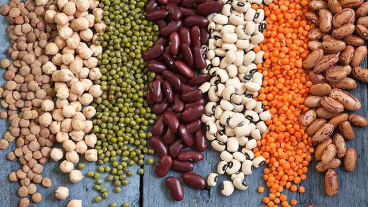 Ilustrasi kacang-kacangan. (Sumber foto: Freepik)