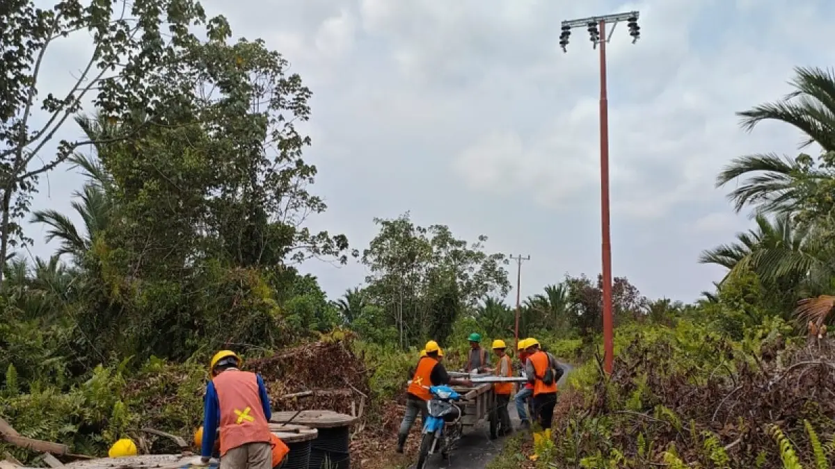 Sejumlah petugas sedang membangun perluasan jaringan PLN ULP Selatpanjang di pelosok Kepulauan Meranti, Rabu (8/4/2026).(PLN For Riau Pos)